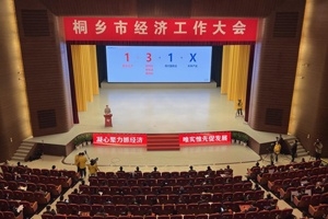 【菊鄉(xiāng)快評】經(jīng)濟工作大會上，桐鄉(xiāng)市委書記為何重點講巨石的電子布？