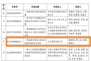 嘉興首金！巨石集團(tuán)摘得中國專利獎(jiǎng)金獎(jiǎng)