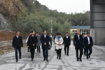 中國建材集團黨委書記、董事長周育先調(diào)研巨石九江鈣業(yè)公司